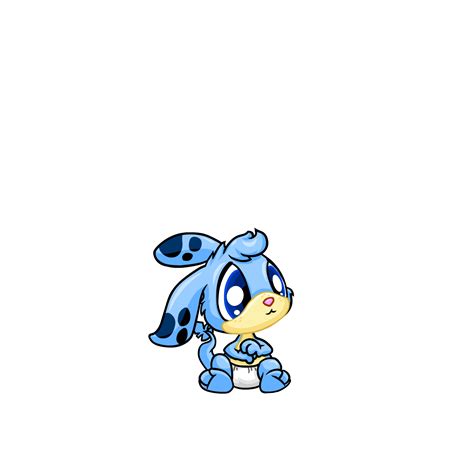 neo zafara|neo zafara neopets link.